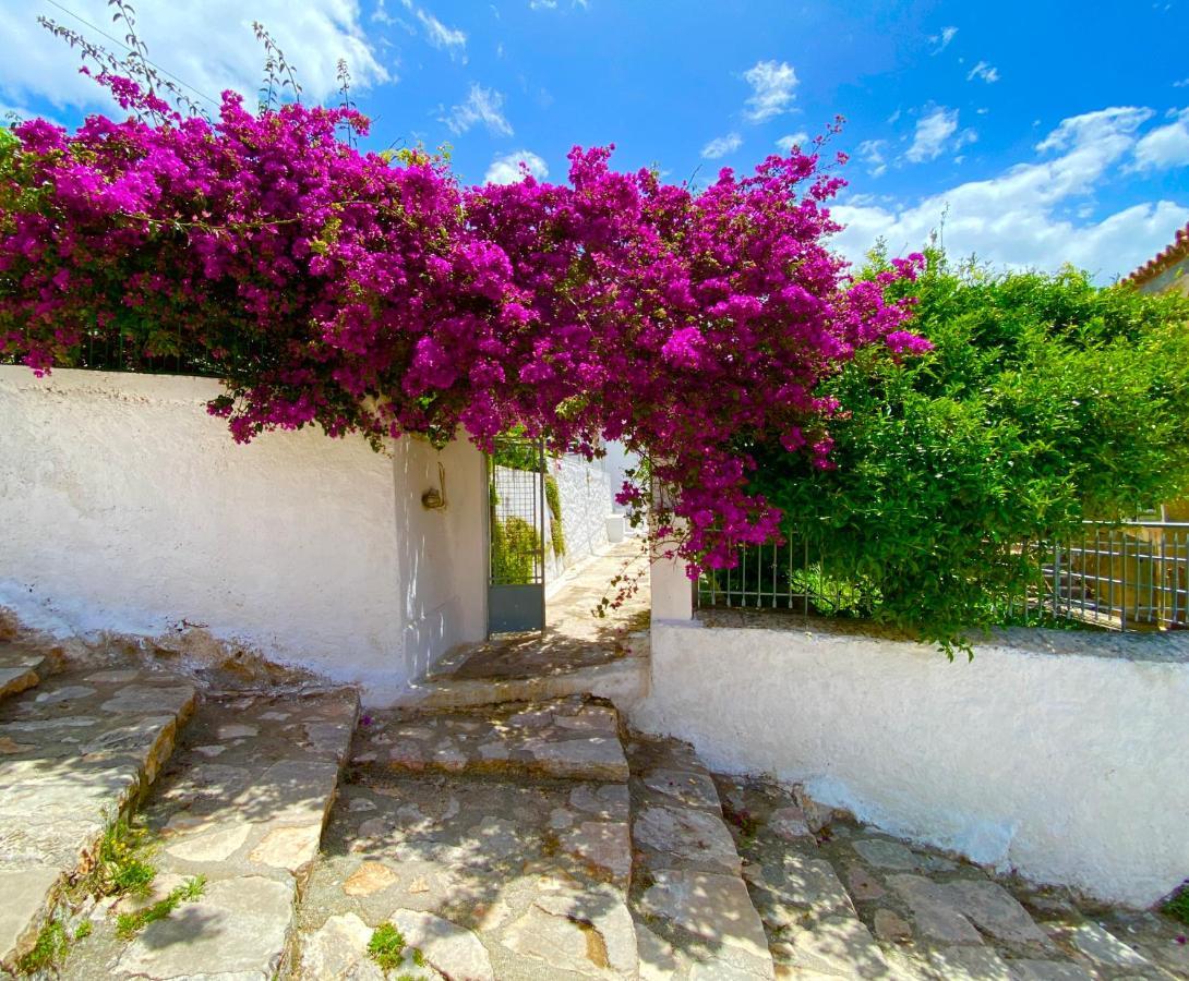 Antiklea Villa Vathy  Exterior photo