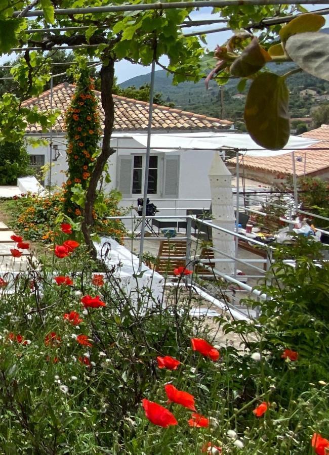 Antiklea Villa Vathy  Exterior photo