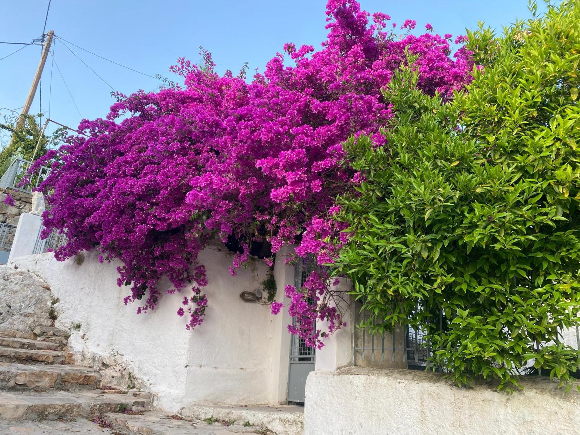 Antiklea Villa Vathy  Exterior photo